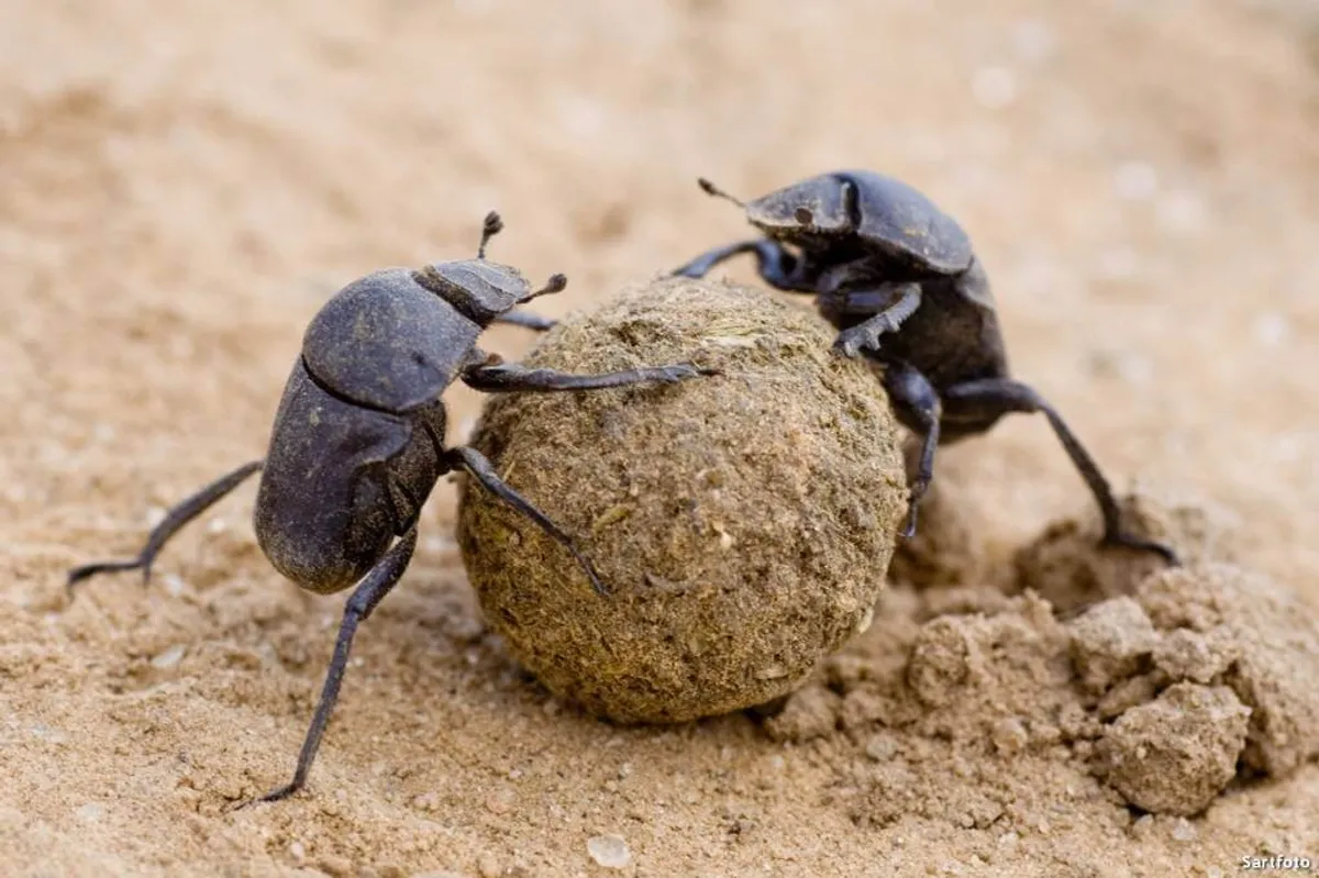 我要活下來 - Ruby 新手工程師的存活術